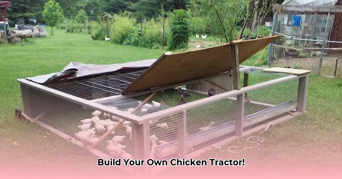 joel-salatin-chicken-tractor-plans
